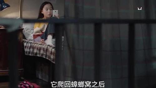 三姐爆料视频大全集,揭秘背后真相与精彩瞬间  第2张 三姐爆料视频大全集,揭秘背后真相与精彩瞬间  第2张