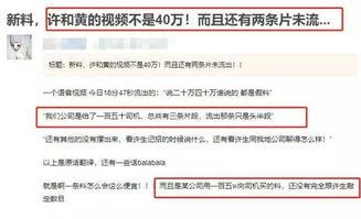 最新爆料曝光视频下载,独家视频下载幕后真相大曝光! 第1张 最新爆料曝光视频下载,独家视频下载幕后真相大曝光! 第1张
